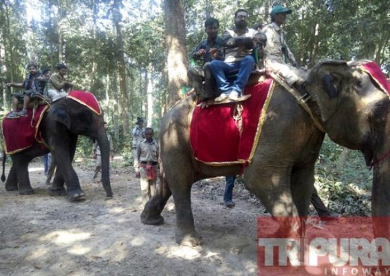 Forest department introduces elephant rides in Sepahijala wildlife sanctuary